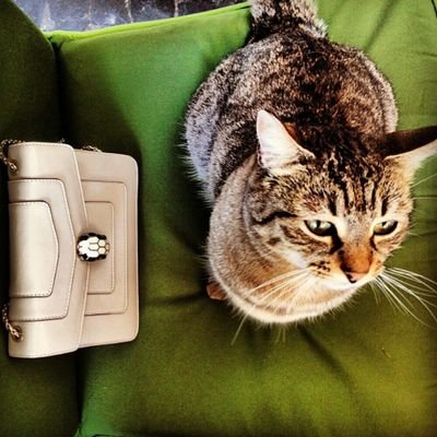 ocyoci's profile picture. I was born from the womb of a great woman & learned many things from an amazing man. I'm the girl that can't stand for statically thing! I've my own world :')