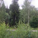 Anna Moe - @AnnaMoe5 - Twitter