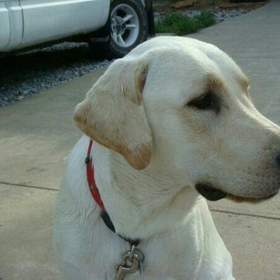 HeidiHoglund's profile picture. 