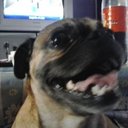 Aarón Afonso - @Aarnfons - Twitter