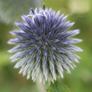 IndigoTherapies's profile picture. Interested in all aspects of health and wellbeing.