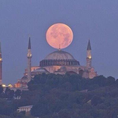 galile31's profile picture. 