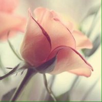 ضحى بنت فهد ( سعوديه هلاليه وأفتخر )🇸🇦 🫡 (@do7hfahad) 's Twitter Profile