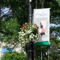 Downtown Simcoe BIA (@simcoebia) 's Twitter Profile