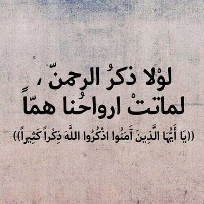 هل تريد الأجر ؟ فقط اضغط على زر الريتويت  وستنال الأجر .. ❤️ ..


فولو باك ٥/٥ عطني تم وأنا وراك .