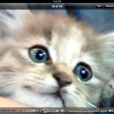 23Zebediah's profile picture. I am the koolest guy in the world if u dont follow me its your loss (oh and if i block u ur cool with a c. get coc get it if u join wellsville eagles ill giveco