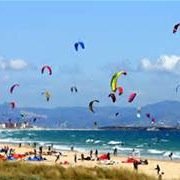 laururu82's profile picture. 