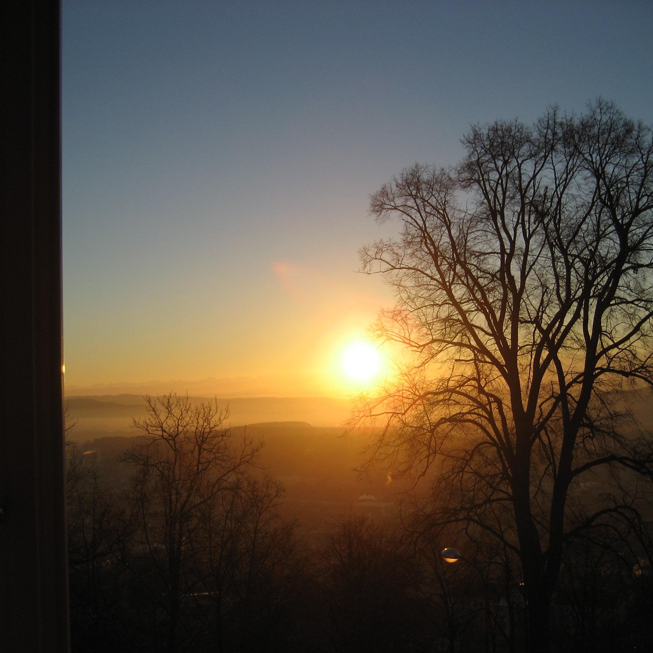 Seeland_Motzer's profile picture. 