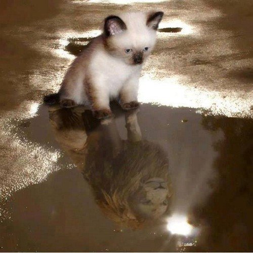 minique_88's profile picture. 