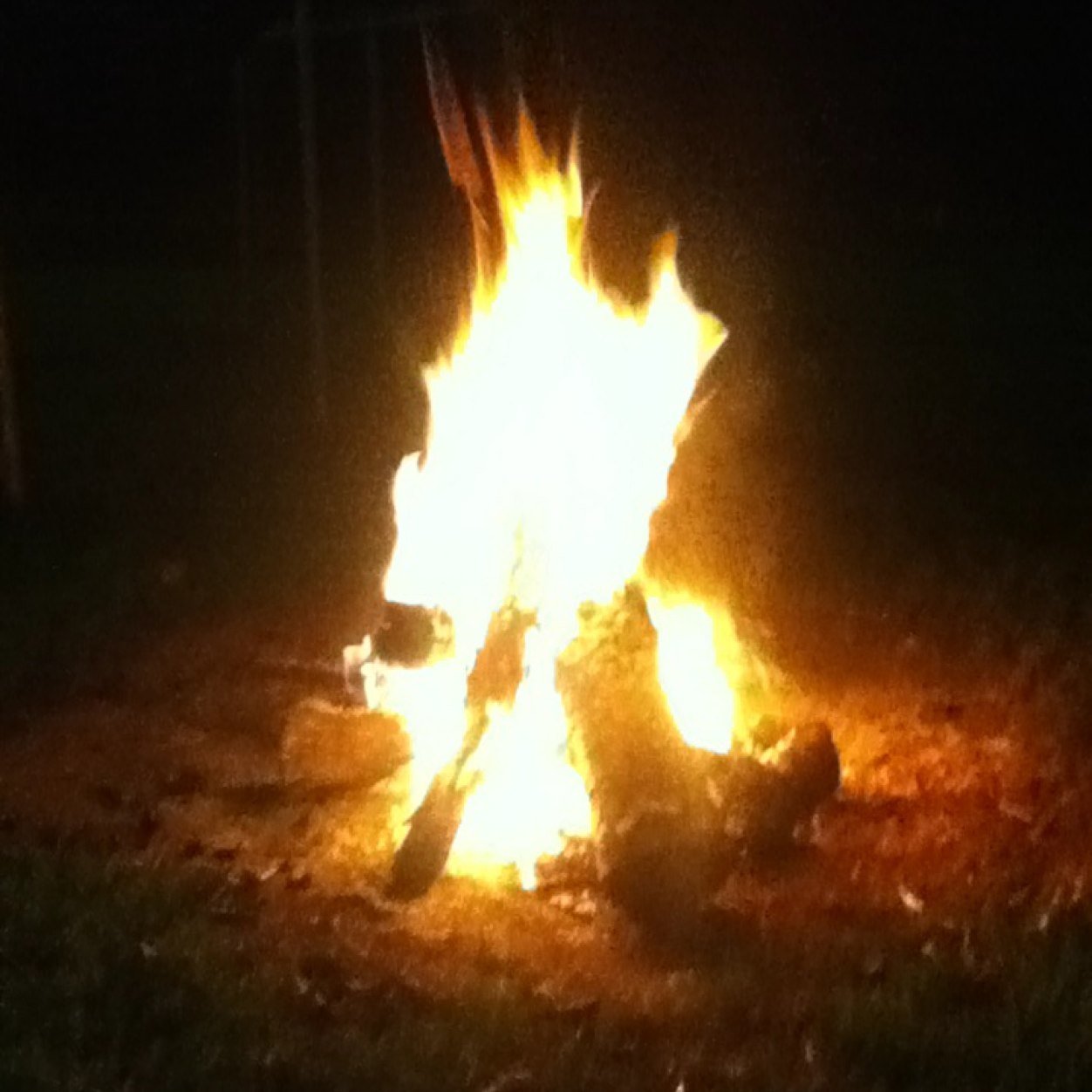 redheadd1957's profile picture. 