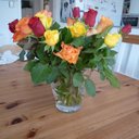 Marcus Moll - @Freiheit_1965 - Twitter