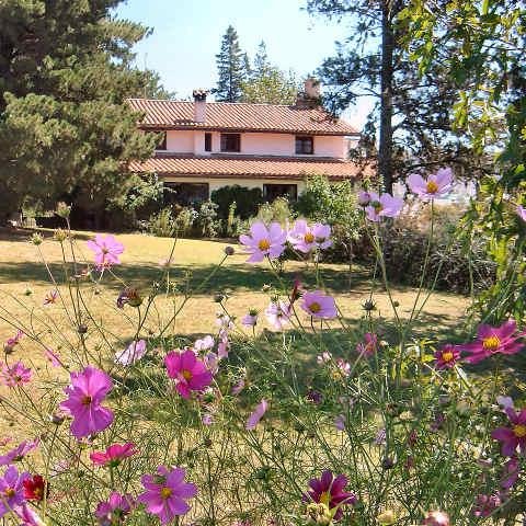 LDomanda's profile picture. Hostería y Estancia serrana.