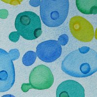 Jeff Lewis (@lewislab) 's Twitter Profile