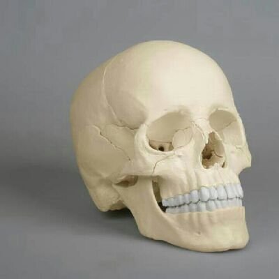 hubschrauber741's profile picture. 