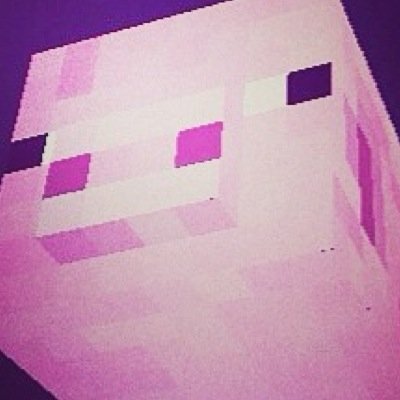 dannytheranger's profile picture. hi i love pigs