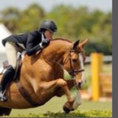 Oasis_Inc's profile picture. Oasis Show Stables is an A circuit hunter/jumper show barn located in Sherborn, MA and Wellington, FL.