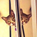 Laura Montenegro - @LauraMonte12 - Twitter