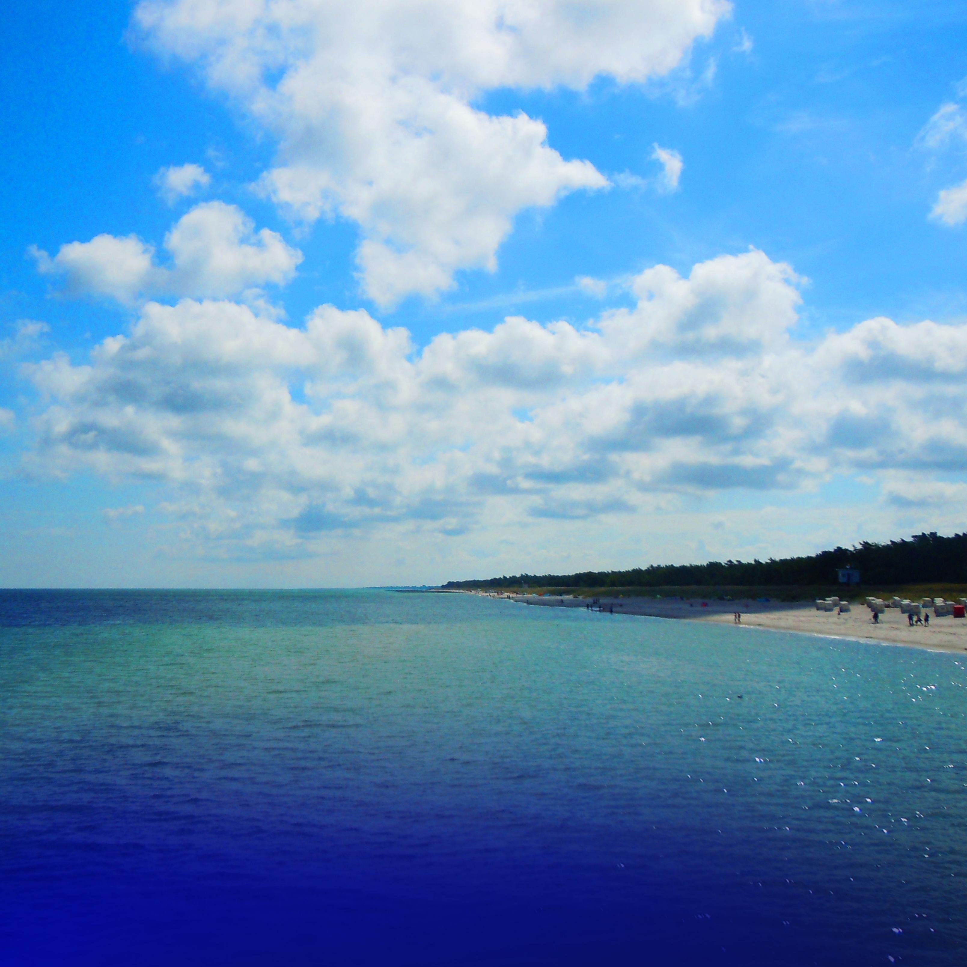 FreeNatureShop's profile picture. WELCOME IN THE NATURE PHOTO ART PRINT GALLERY FREE NATURE- Nature Art Print- Mystical Art