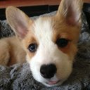 Susan Luft - @susanluft1 - Twitter