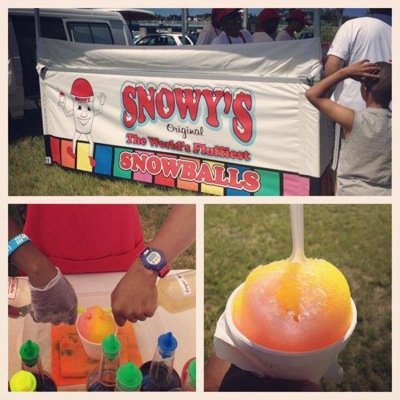 SnowysBermuda's profile picture. The World's Fluffiest Snowballs