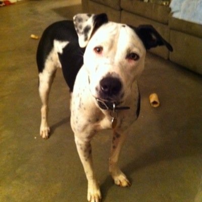 debrabjackson's profile picture. 