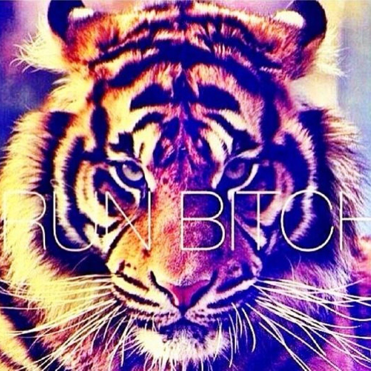 RT10_Krc_Sngl's profile picture. Ana hesap @Krc_Sngl