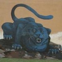 Shade-Central CitySD (@shadeccsd) 's Twitter Profile Photo Shade-Central CitySD (@shadeccsd) 's Twitter Profile Photo