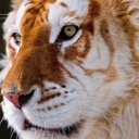 Dylan Wayne Decker - @DylanKnife - Twitter