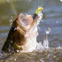 Jeff Vickers - @jvick187 - Twitter