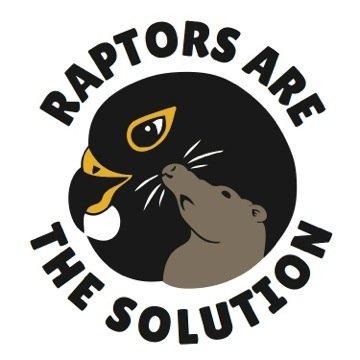 Founder of Raptors Are The Solution  @raptorsare. Loves hawks, owls, wildlife, hates poison. 
http://t.co/GEsAfnUV5J