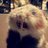 MortenAndersen_'s profile image