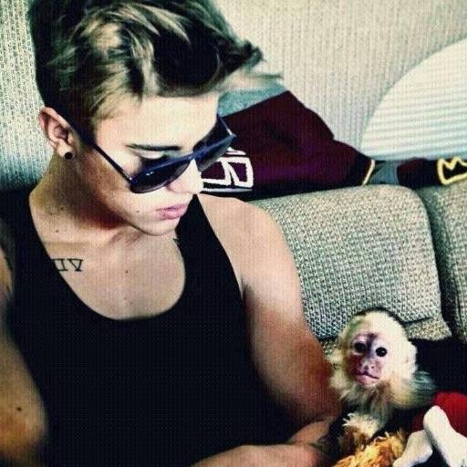 ⊱✿Be sexy. Be true. Be wild. Be you.✿⊰ Business:  . ✝ BELIEBEEEERS follow me and I follow you belieber to infinity ☆ Believe