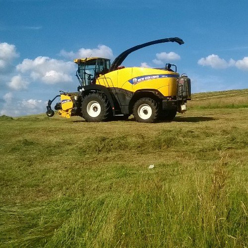 Agricultural and amenity contractors. Farming sheep and turkeys.