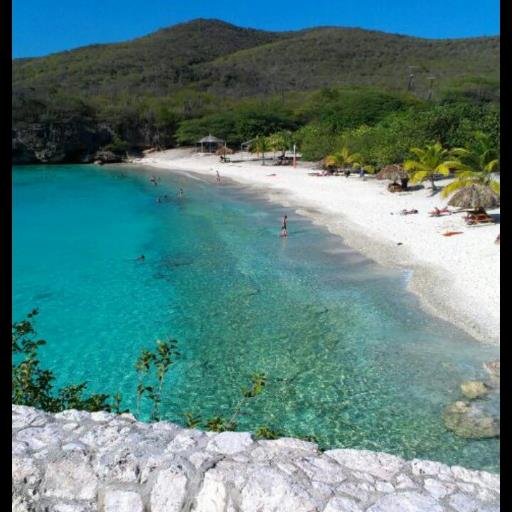 LittleM113's profile picture. 