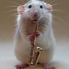 javiers19941's profile picture. 