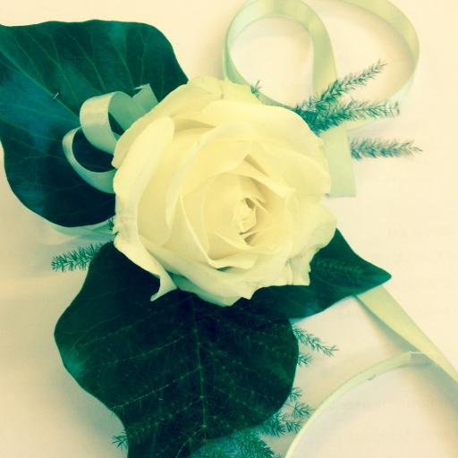 breretonflorals's profile picture. A bespoke floristry service providing fresh and artificial floral designs. All designs are catered to suit each individual's preferences, tastes and budgets.