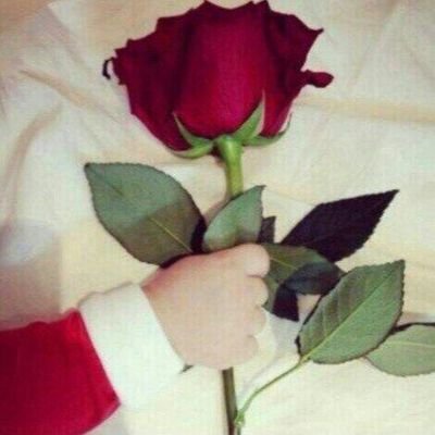 ‏‏خافقي و الروح تهواكم ♬!(ممنوع الخاص)