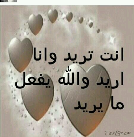 ‏‏‏‏‏‏‏‏‏‏‏‏‏‏‏‏‏‏‏‏‏‏‏ابحث عن زوجه صالحة ذات دين وخلق وذوق وبنت ناس اجاويد تكون سبب لسعادتي بعد الله ( وزكريا أذ نادى ربه، ربي ﻻ تذرني فردا وانت خير الوارثين )