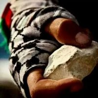 𓂆 ابن فلسطين(@Alkalony) 's Twitter Profile Photo