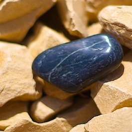 kai_schwartz's profile picture. 