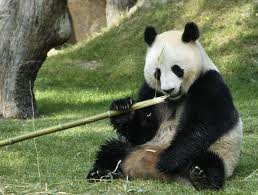 durralen's profile picture. 