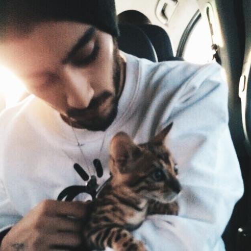 perfzaynxgirls's profile picture. Just remember you're perfect and Zayn loves you :) - @iZourryGomez