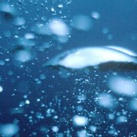 RPS (@twitt_rachel) 's Twitter Profile