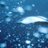 twitt_rachel's profile image