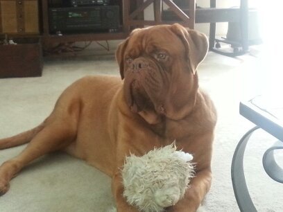 mkrg66's profile picture. 