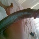 sex-2323 (@2323_sex) Twitter