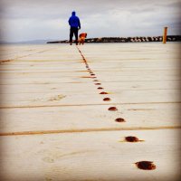 Honeybadger (@selcukkoc86) 's Twitter Profile