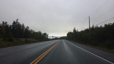 novascotiadoug's profile picture. 