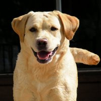 Phil Alonso (@philalonso) 's Twitter Profile Photo