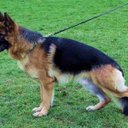 Rita Fiore - @RedFlower44 - Twitter